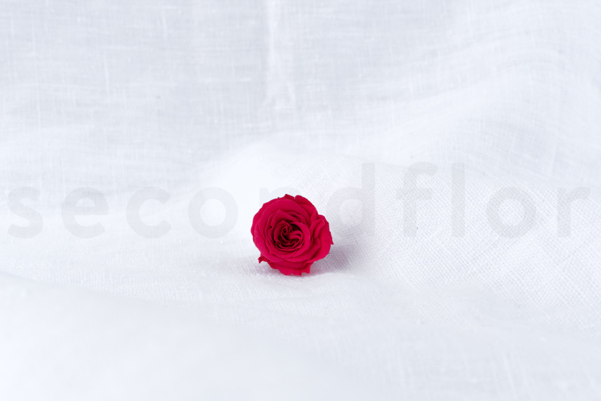 Rose Princess Stabilisiert - Verpackung 16 St. - Dunkelrosa