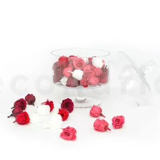 Konservierte Rose Princess Rot (x16)