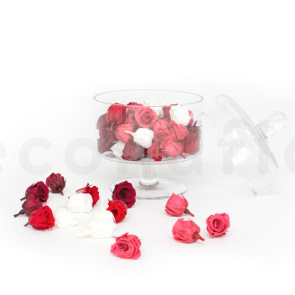 Rosa Princesa Preservada - Caja de 16 - Roja