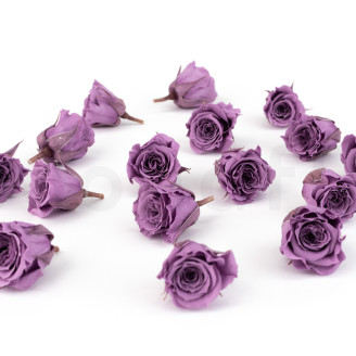 Rosa Princess Stabilizzata - Scatola da 16 - Lilla