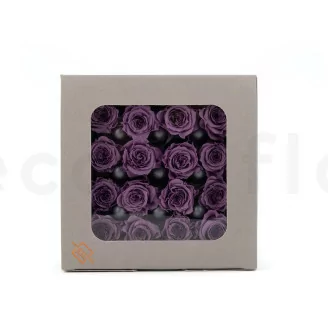 Konservierte Rose Princess Lila (x16)