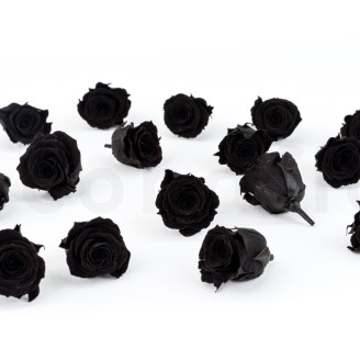 Rosa Princesa Preservada - Caja de 16 - Negro