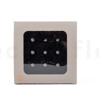 Rosa Princesa Preservada - Caja de 16 - Negro