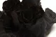 Rosa Princesa preservada Negro (x16) 2
