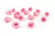 Rosa Princess stabilizzata Rosa Pastello (x16) 3