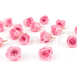 Rose Princess Stabilis&eacute;e - Bo&icirc;te de 16 - Pastel Pink