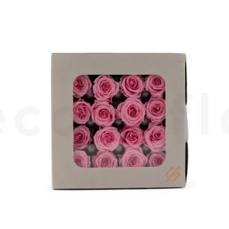 Preserved Princess Rose Pastel Pink (x16)