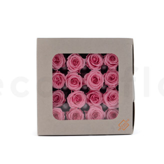 Rosa Princesa Preservada - Caja de 16 - Pastel Pink
