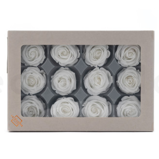 Rosa preservata Verdissimo M - Scatola da 12 - White