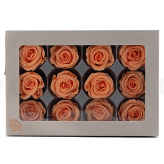Rose stabilis&eacute;e Verdissimo M - Bo&icirc;te de 12 - Peach