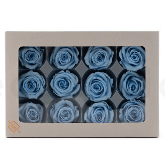 Rose stabilis&eacute;e Verdissimo M - Bo&icirc;te de 12 - Light Blue