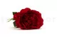 Peonia artificiale Rosso 2