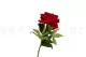 Pivoine artificielle Rouge 5
