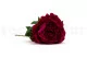 Peonia artificiale Bordeaux 2
