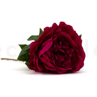 Artificial Peony on Stem - 1 Unit - Burgundy
