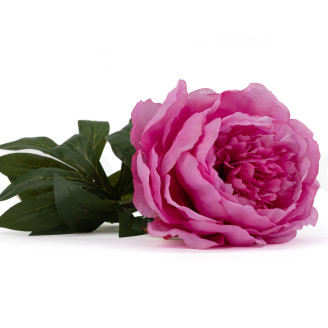 Pivoine Artificielle sur tige - 1 Unit&eacute; - Rose Fonc&eacute;