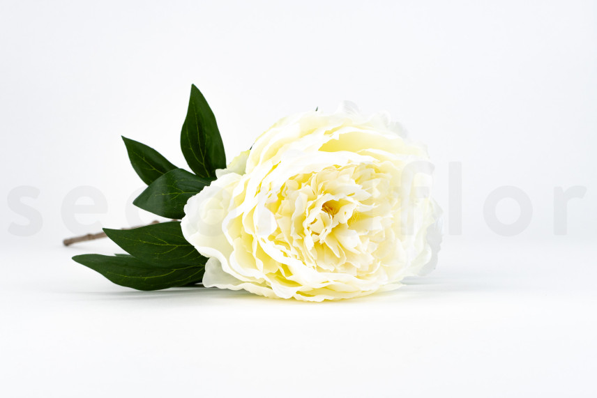 Peonia Artificiale su stelo - 1 unit&agrave; - Crema
