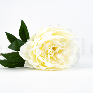 Artificial Peony on Stem - 1 Unit - Cream