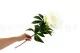 Artificial Peony Cream 4