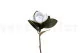 Magnolia artificiale Bianco 7