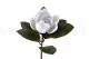 Artificial Magnolia White 8