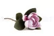 Magnolia artificiale Rosa 2