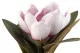 Artificial Magnolia Pink 4