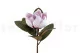 Magnolia artificial Rosa 8
