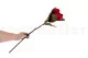 Magnolia artificiale Rosso 5