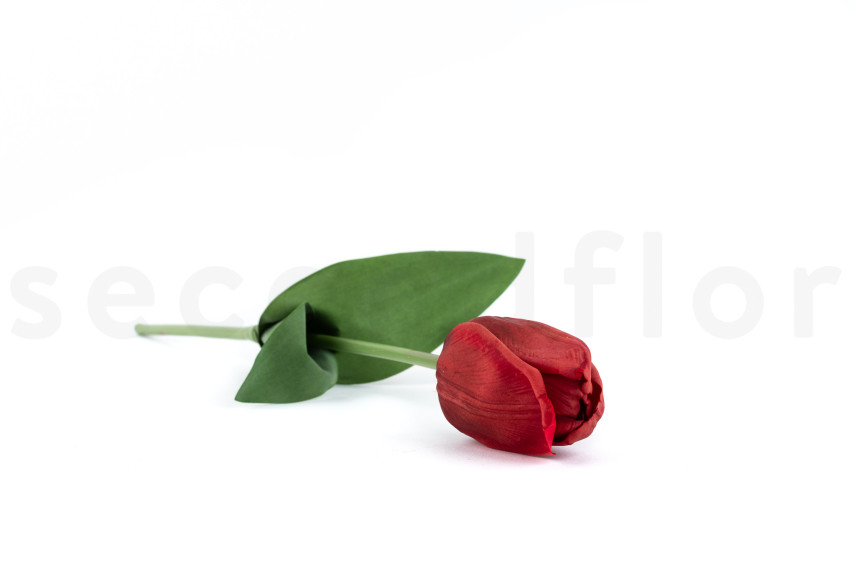 Artificial Tulip on Stem - Burgundy