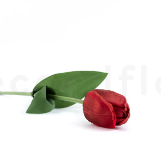 Artificial Tulip on Stem - Burgundy