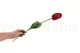 Artificial Tulip Burgundy 4