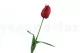 Tulipano artificiale Bordeaux 6