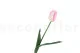 Artificial Tulip Pink 6