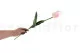 Tulip&aacute;n artificial Rosa 4