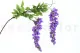 K&uuml;nstliche Glyzinie Violett 4