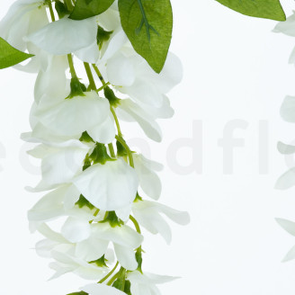Branche de Glycine Artificielle - Blanc