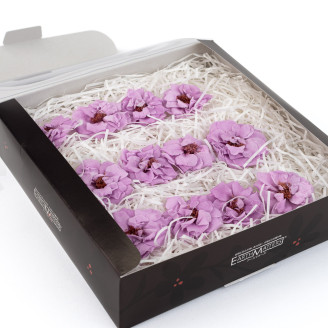 Wild Rose Stabilized - Box of 12 - Purple