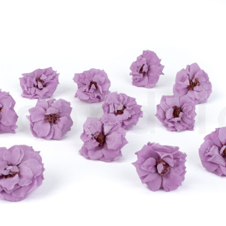 Rosa Selvatica Stabilizzata -  Scatola da 12 - Viola