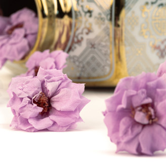 Heckenrose Stabilisiert - Verpackung 12 St. - Lila