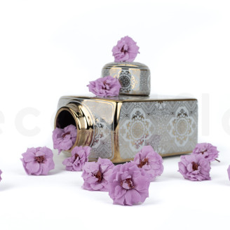 Heckenrose Stabilisiert - Verpackung 12 St. - Lila