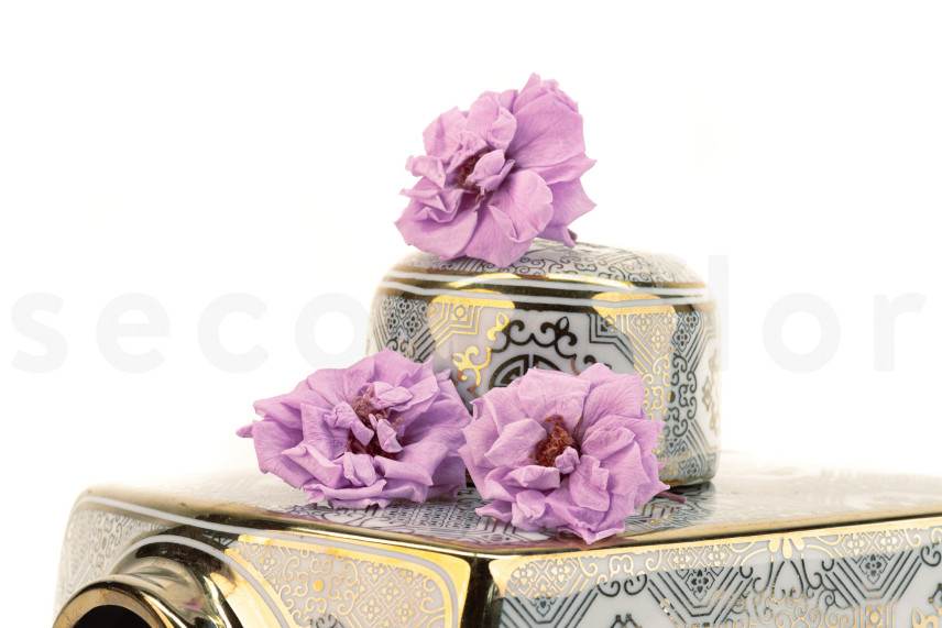 Wild Rose Preserved - Box of 12 - Purple