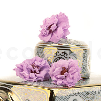 Wild Rose Preserved - Box of 12 - Purple
