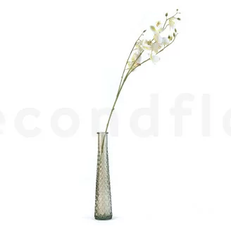 Orqu&iacute;dea artificial Crema
