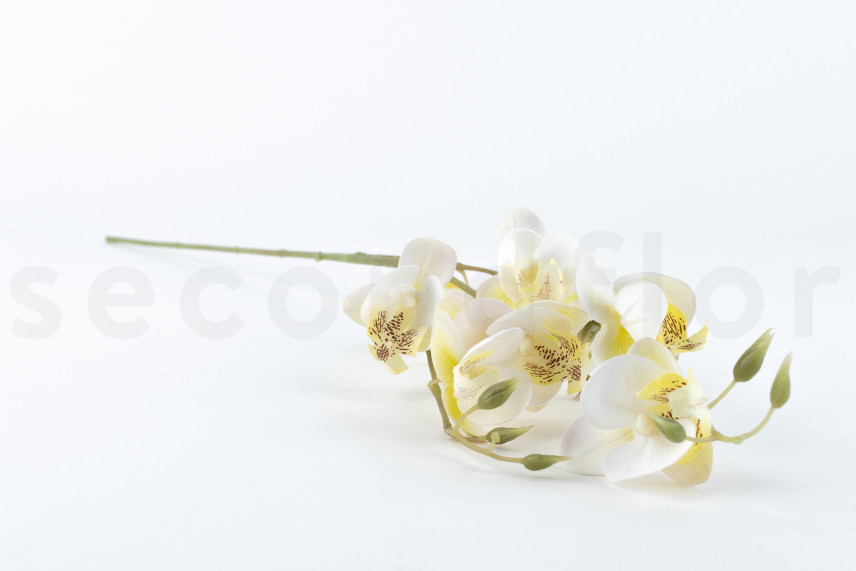 Rama de Orqu&iacute;deas Artificial - Crema