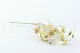 Orchidea artificiale Crema 2