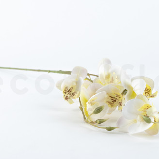 Branche d'Orchid&eacute;es Artificielle - Cr&egrave;me
