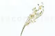 Orchidea artificiale Crema 5