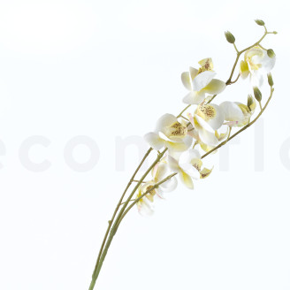 Rama de Orqu&iacute;deas Artificial - Crema
