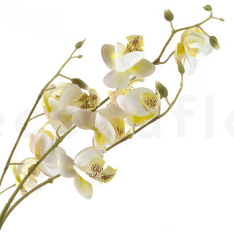 Ramo di Orchidee Artificiale - Crema